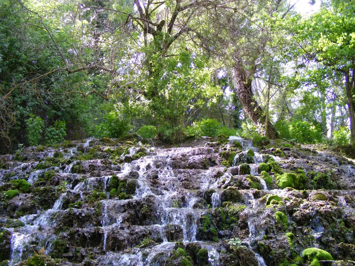 Agua descendiendo entre musgo y vegetación en el Monasterio de Piedra.