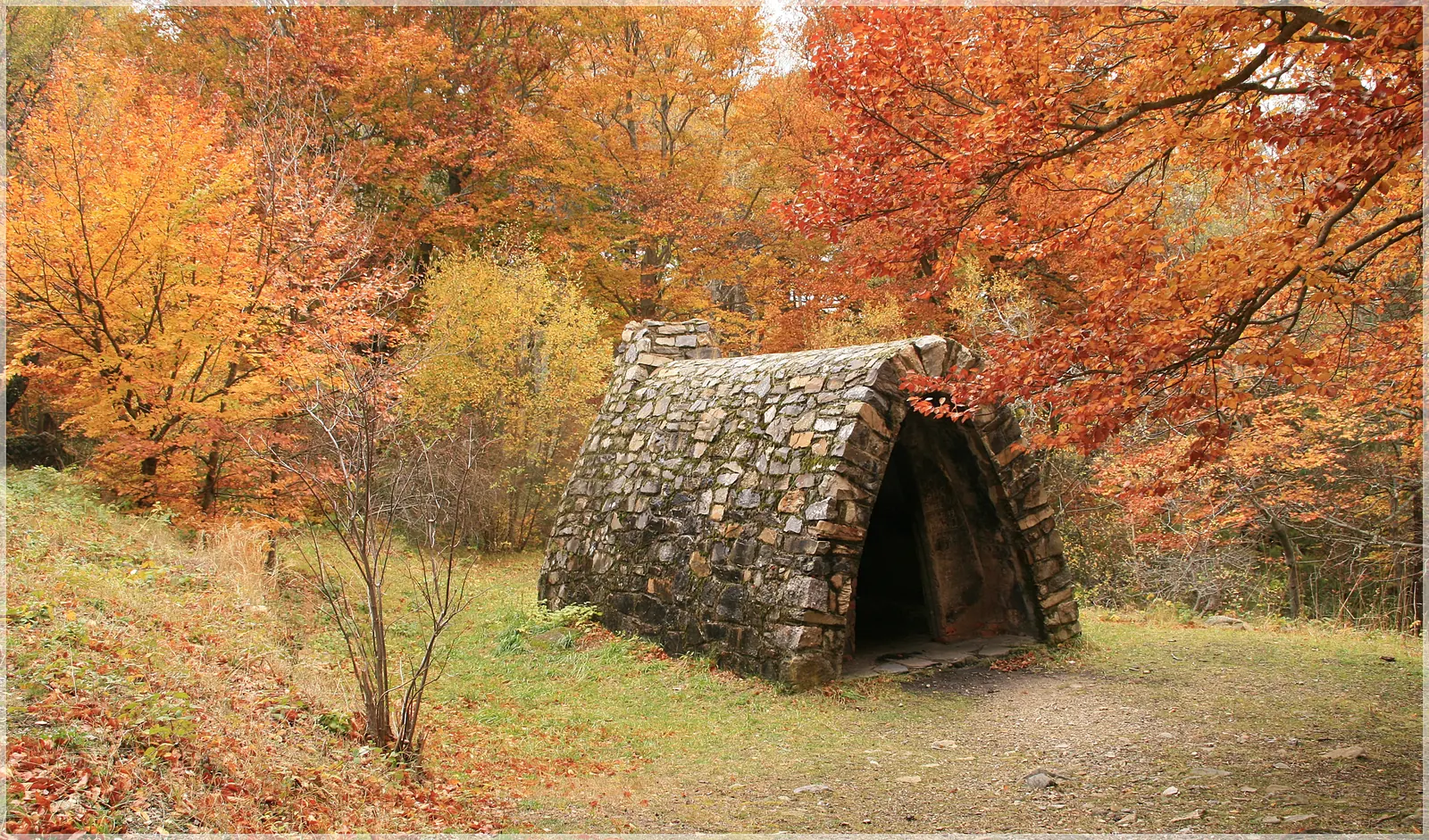 Bosque del Moncayo con colores de otoño.
